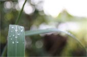 永久免费轰炸电话网页版